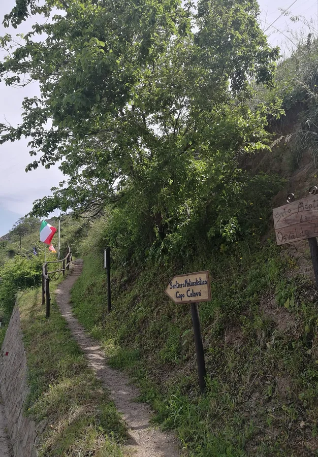 Escursione al Sentiero Naturalistico di Capo Calavà — Gioiosa Marea · Ttattà Go