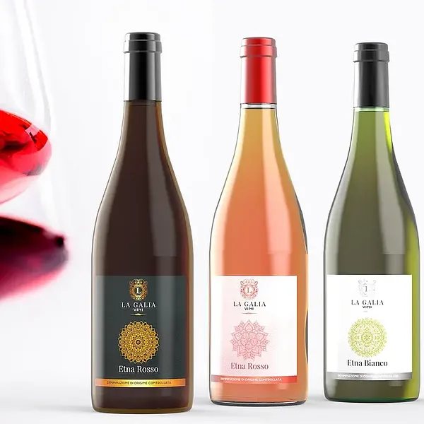 Box Degustazione Vini Etna DOC Biologici La Galia