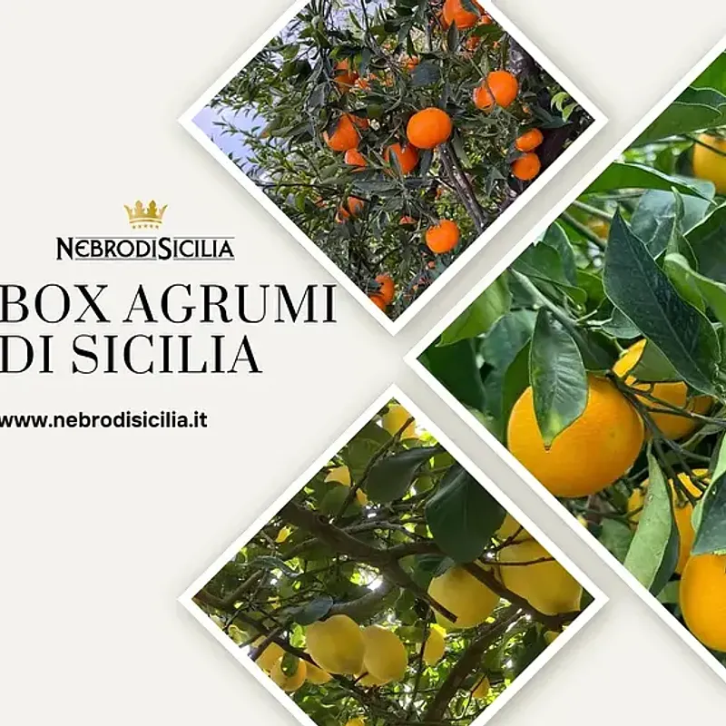 Box Agrumi di Sicilia — foto 1