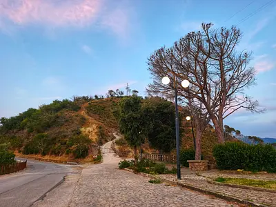La pineta di Piraino — Piraino