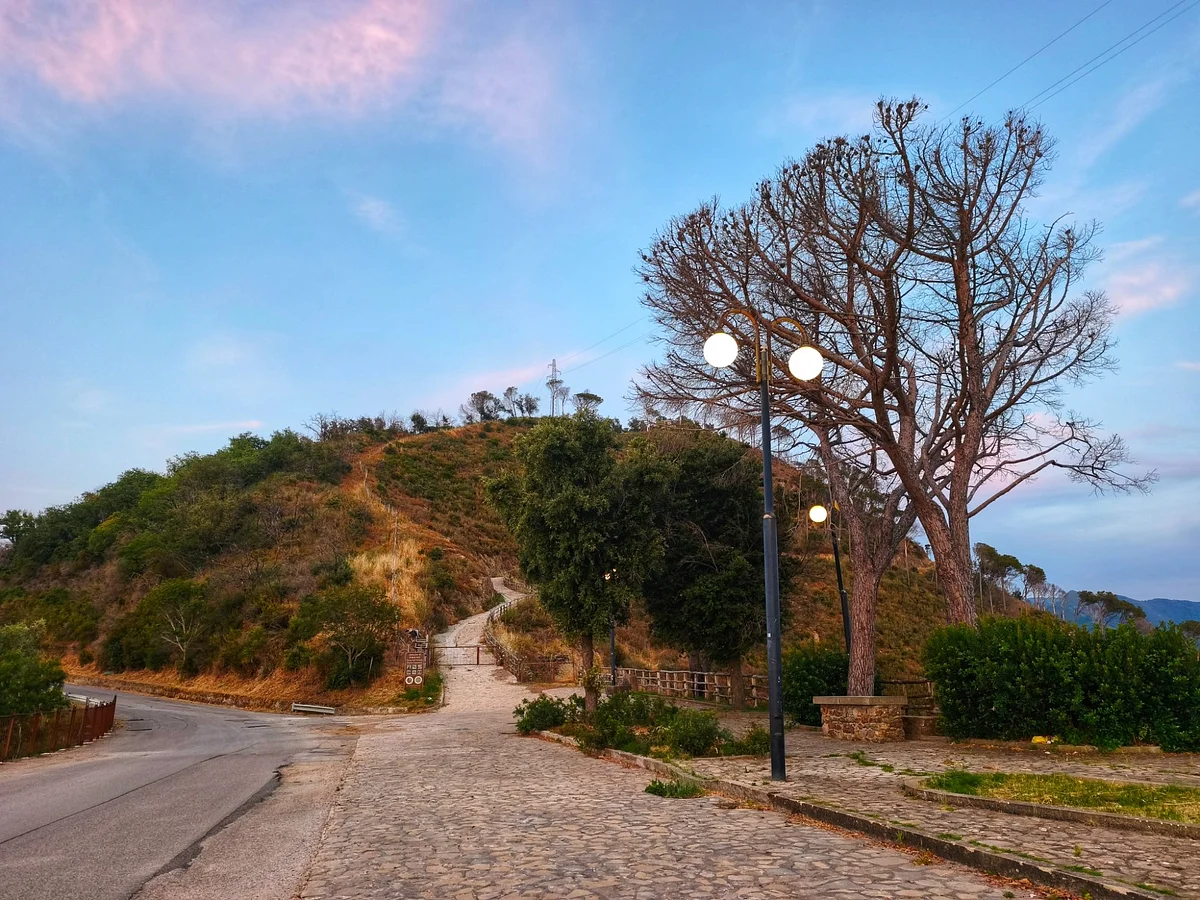 La pineta di Piraino — Piraino · Ttattà Go