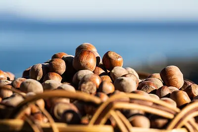 Nocciole