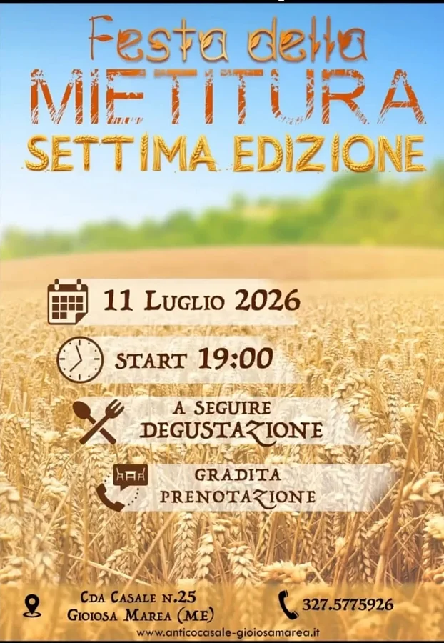 Settima Edizione della Festa della Mietitura · Ttattà Go